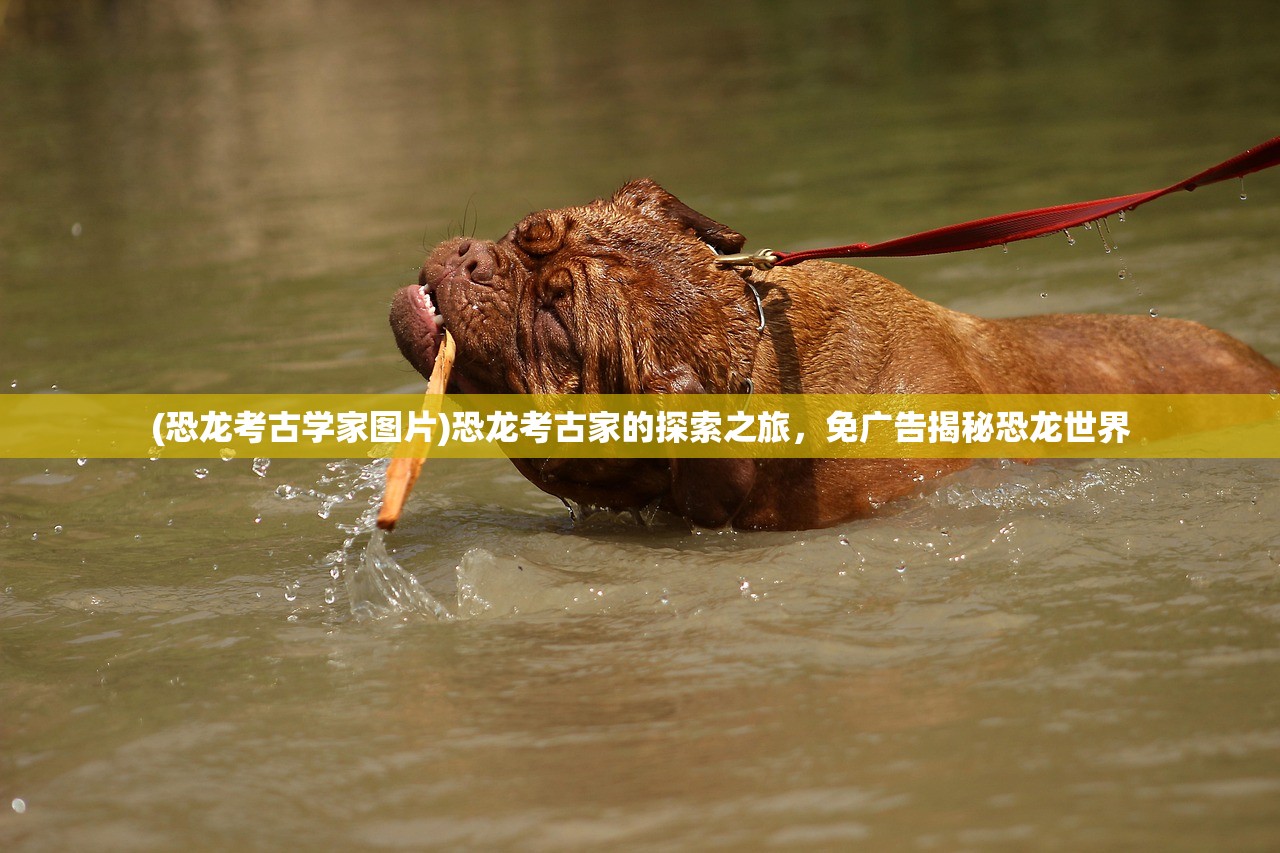 (灵犀三国志战略版官网)三国志战略版官方灵犀客户端，游戏深度探索与常见问题解答