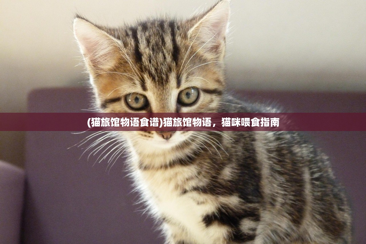 (烽火战三国)烽火之争，三国霸业的权力角逐与战略解析