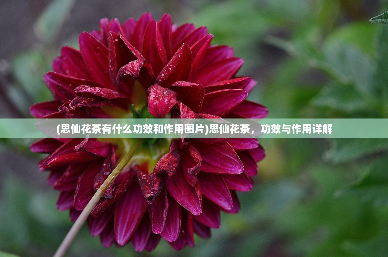(千斩复万镂是什么意思)千斩的意思及其多维度解析