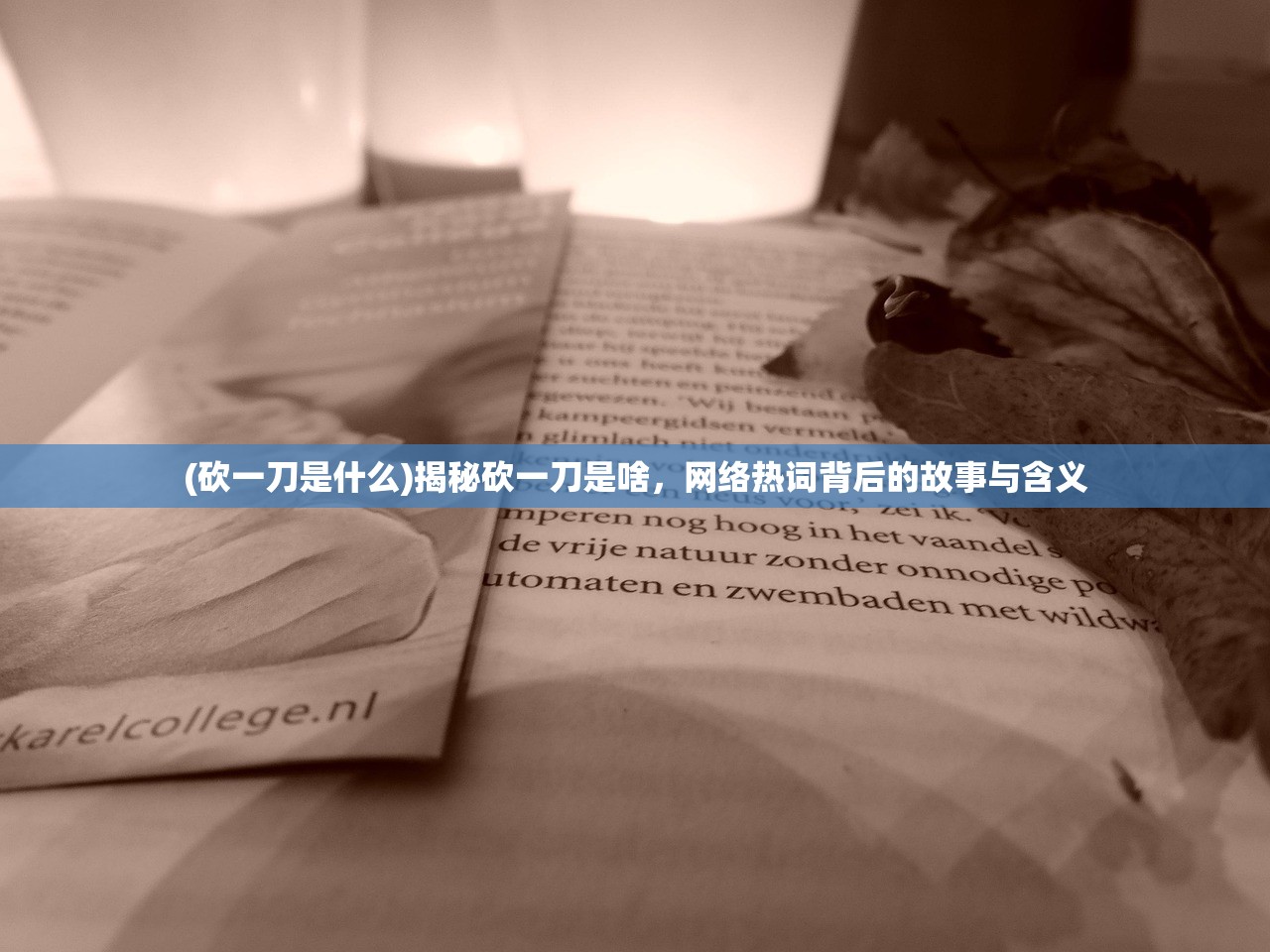 (诸世王者游戏安卓版官网)诸世王者游戏安卓版，深度分析与常见问题解答