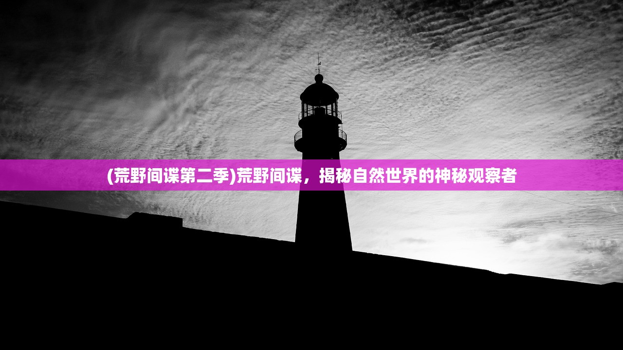 (4399忍者斩铁剑下载)探索经典游戏，4399忍者斩铁剑原版游戏深度解析