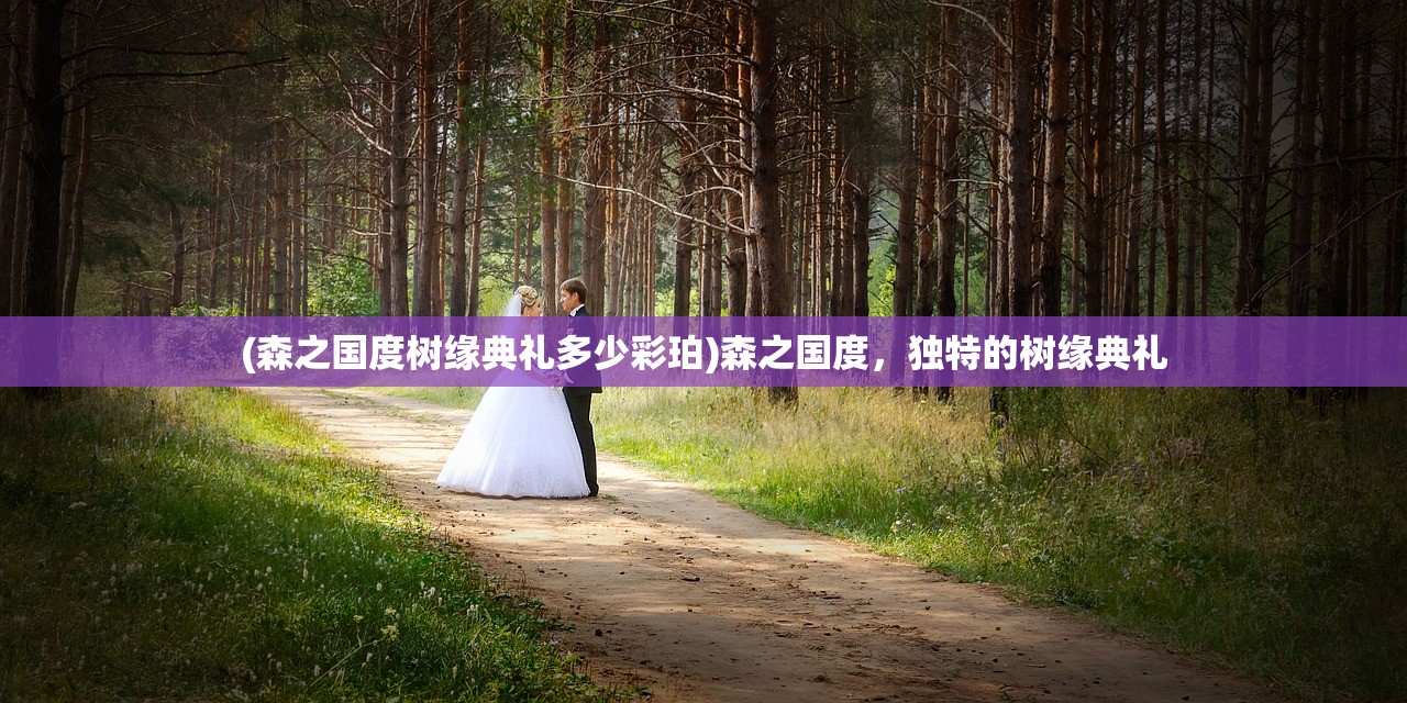 (七雄纷争六人阵容搭配推荐)七雄纷争六人阵容搭配策略与实战解析