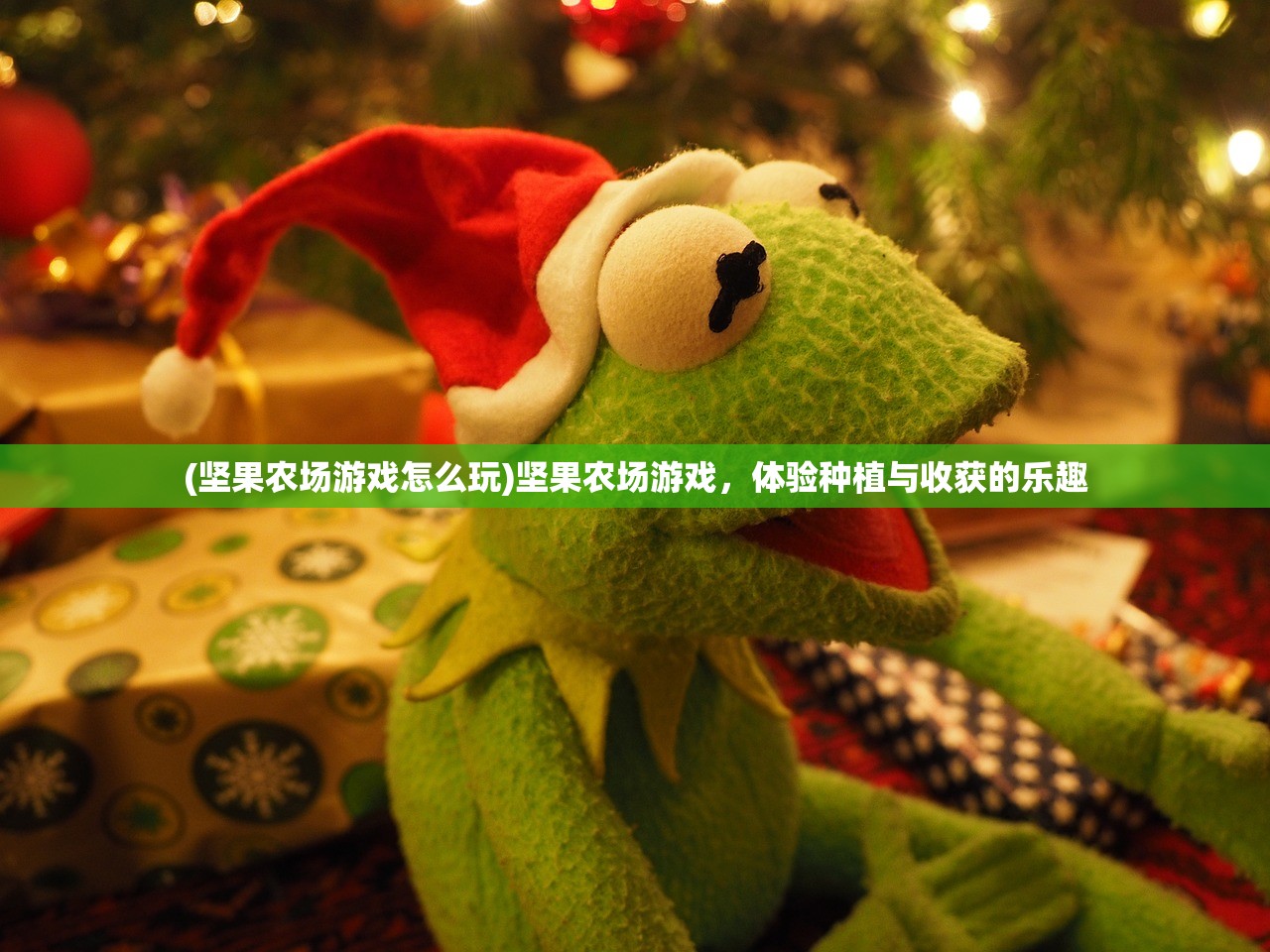 (布偶猫的秘密)布偶之梦，探寻隐藏布偶的神秘之旅