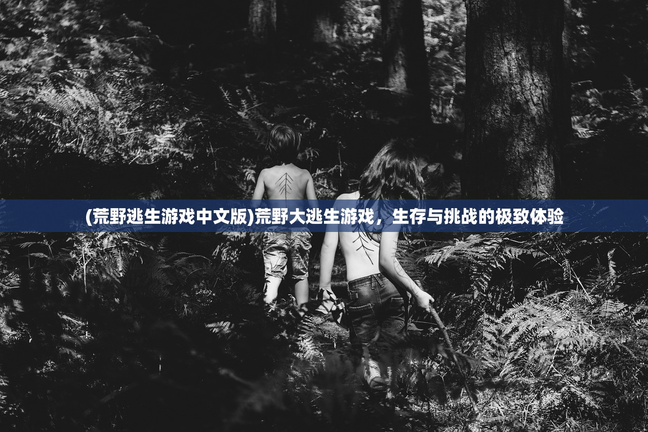 (奥拉星h5登录入口)奥拉星H5，新一代游戏体验的前沿探索
