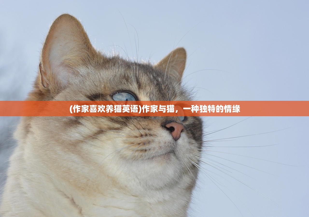 (代号叫血杀的小说)代号血神，深入解析与探讨