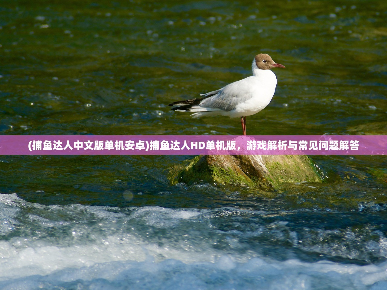 (消消大战九尾狐兑换码)消消大战，一场全民参与的消除挑战盛宴
