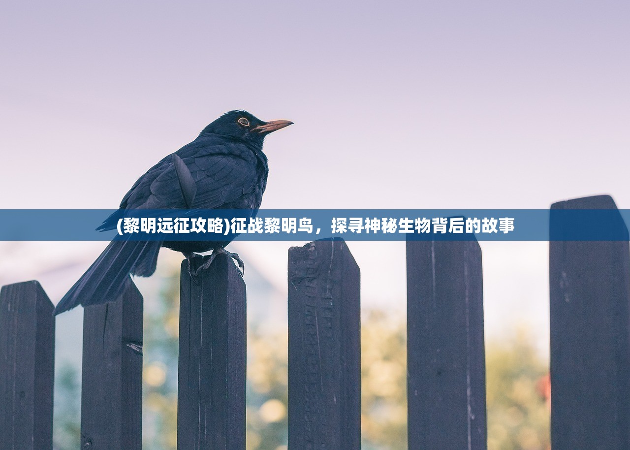 (三国志大战新作)三国志大战，游戏类型深度解析