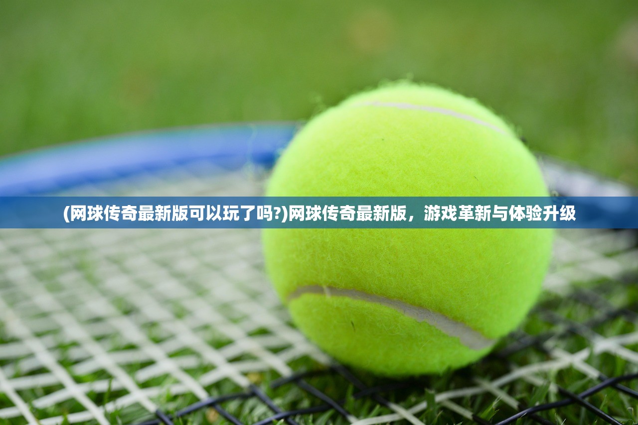 (双界仪攻略)双界链接点测试服，探索虚拟与现实的交汇点