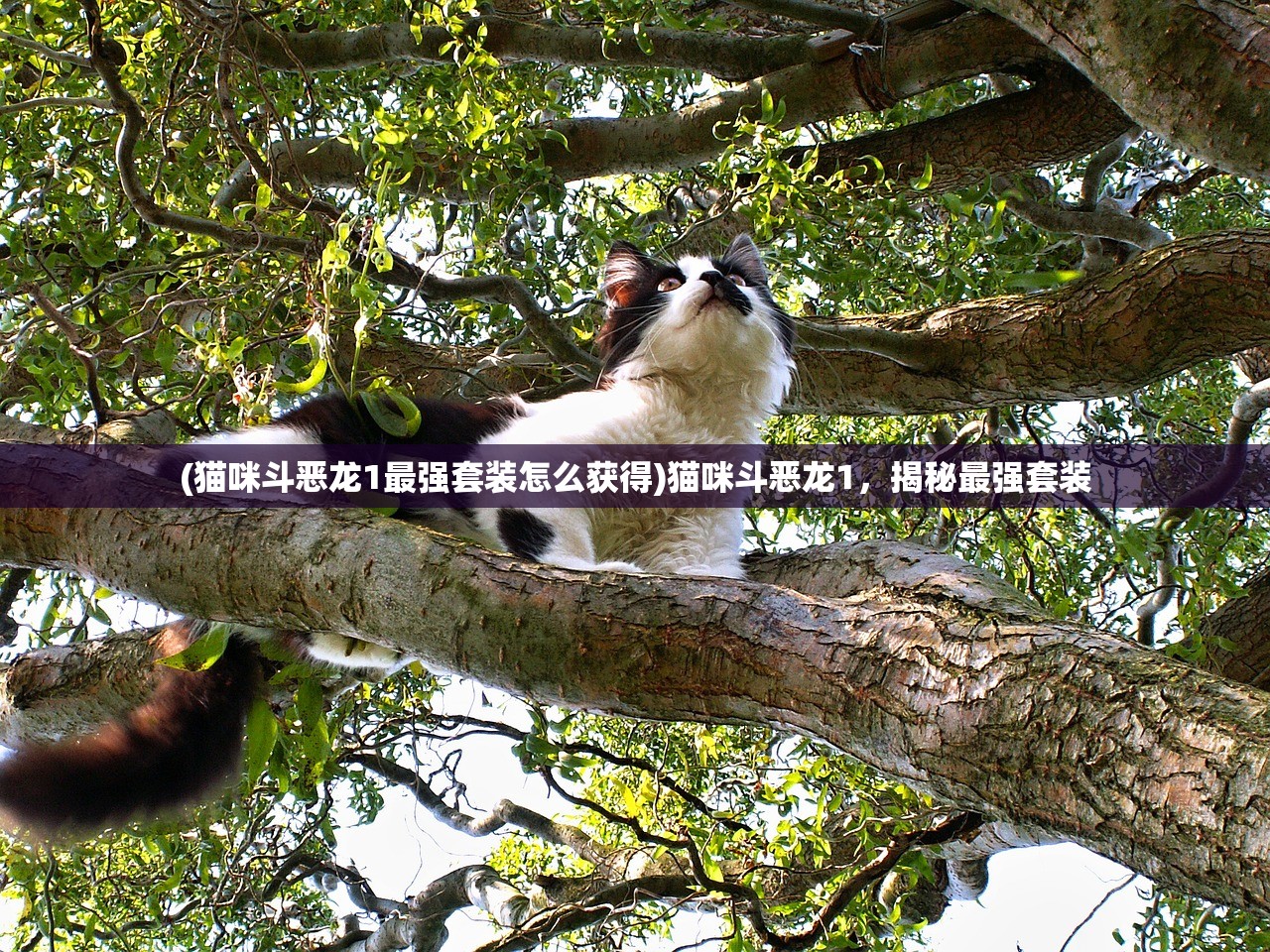 (斗剑仙哪个职业好一点)斗剑仙，哪个职业更胜一筹？多元化分析与介绍
