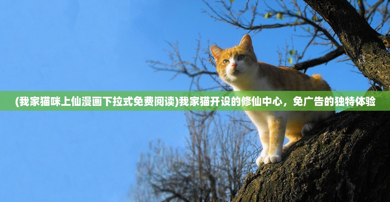 (疑案追声中元节答案和声源标记)疑案追声，中元节DLC答案揭秘与深度解析