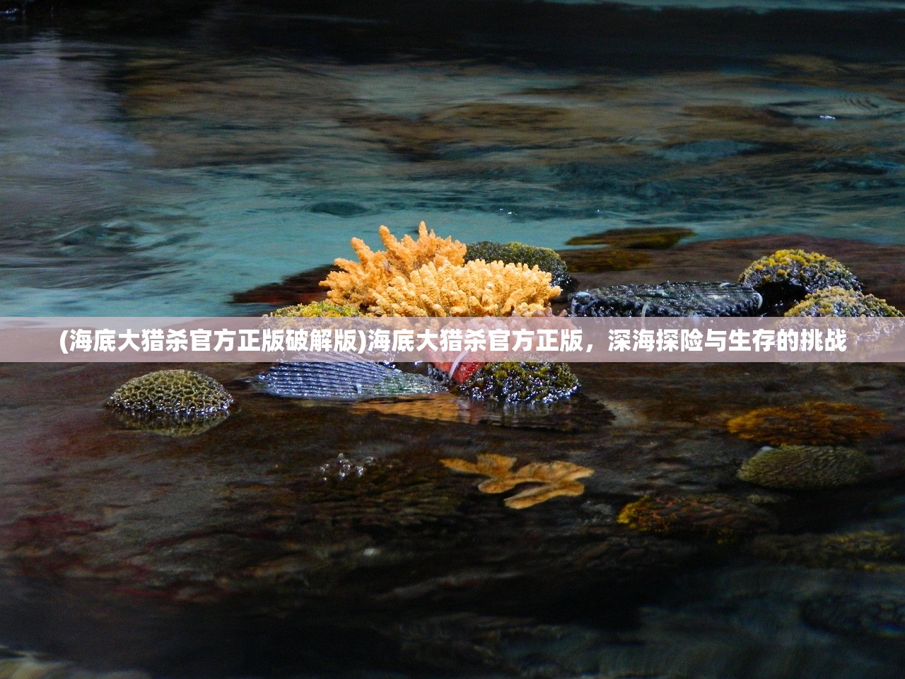(消消大师红包版官方正版)消消大师红包版app，游戏与奖励的双重魅力
