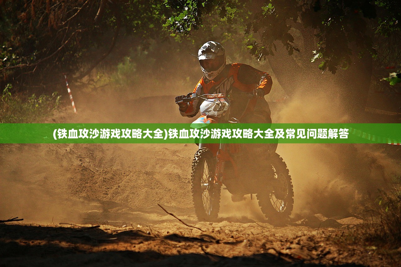 (热血屠龙三端游戏服务端-VM一键端)热血屠龙ol，深入解析这款备受瞩目的游戏