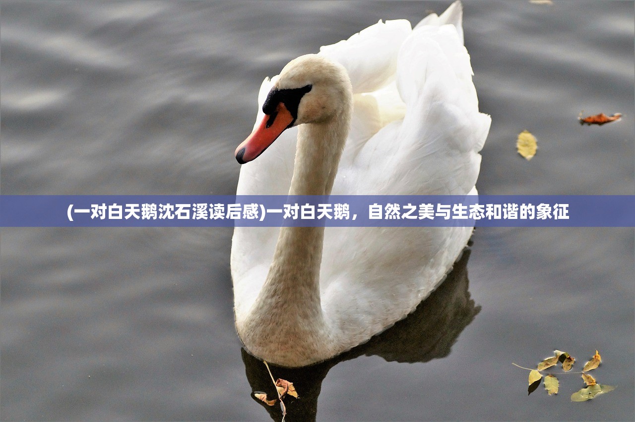(龙图霸业真格游戏)龙图霸业真格，探寻背后的战略与智慧