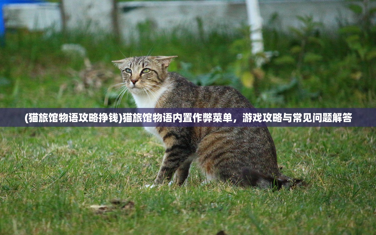 (冒险奇兵陈乔恩27在线观看)冒险奇兵，探寻未知世界的勇者之旅