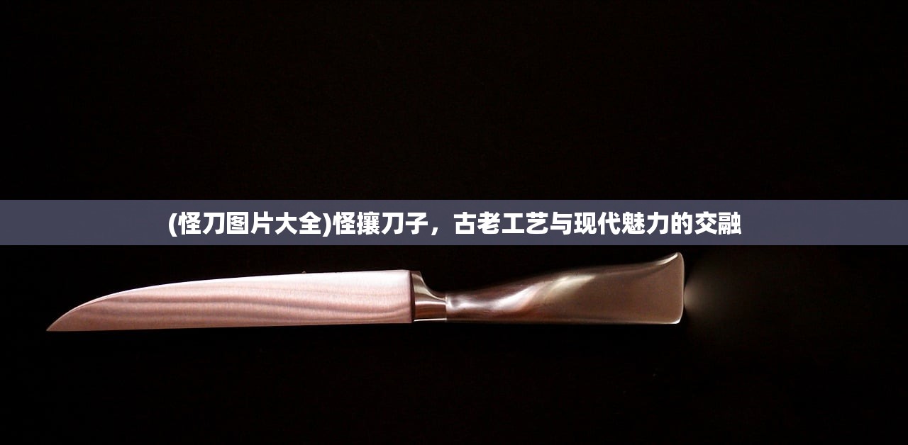 (道友来修仙全等级攻略)修仙之道，境界划分与道友共修