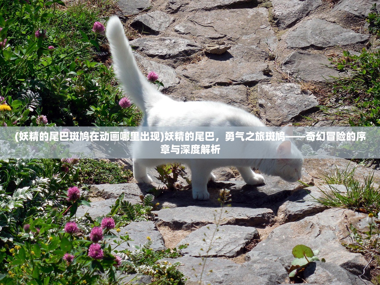 (妖精的尾巴斑鸠在动画哪里出现)妖精的尾巴，勇气之旅斑鸠——奇幻冒险的序章与深度解析