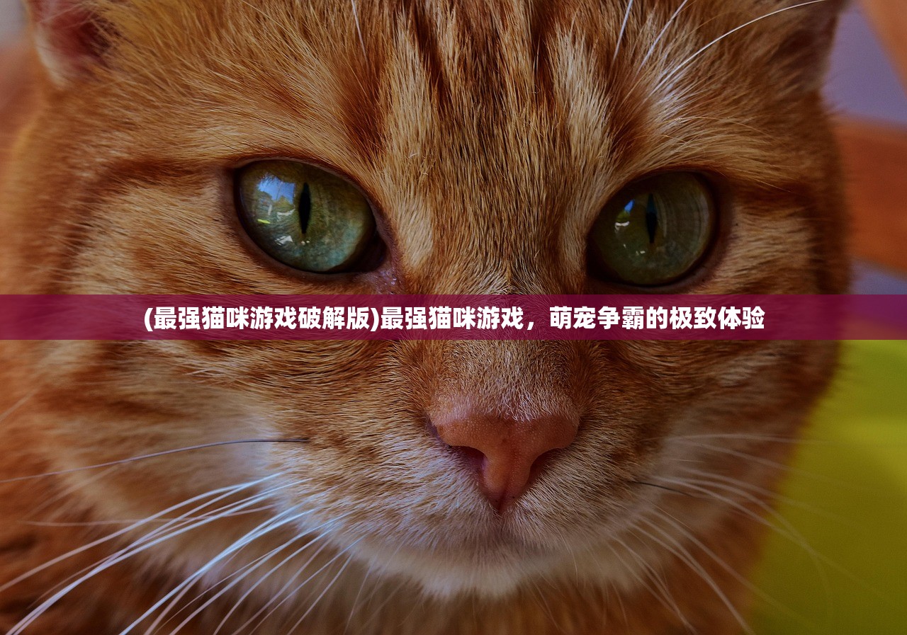 (魔塔66层 攻略)魔塔66层攻略图解，如何成功通过第49层详解及常见问答