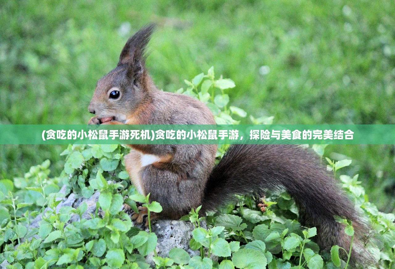 (贪吃的小松鼠手游死机)贪吃的小松鼠手游，探险与美食的完美结合
