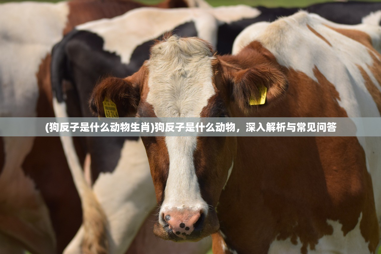 (风卷残云单机游戏)风卷残云街机游戏攻略大全及常见问题解答