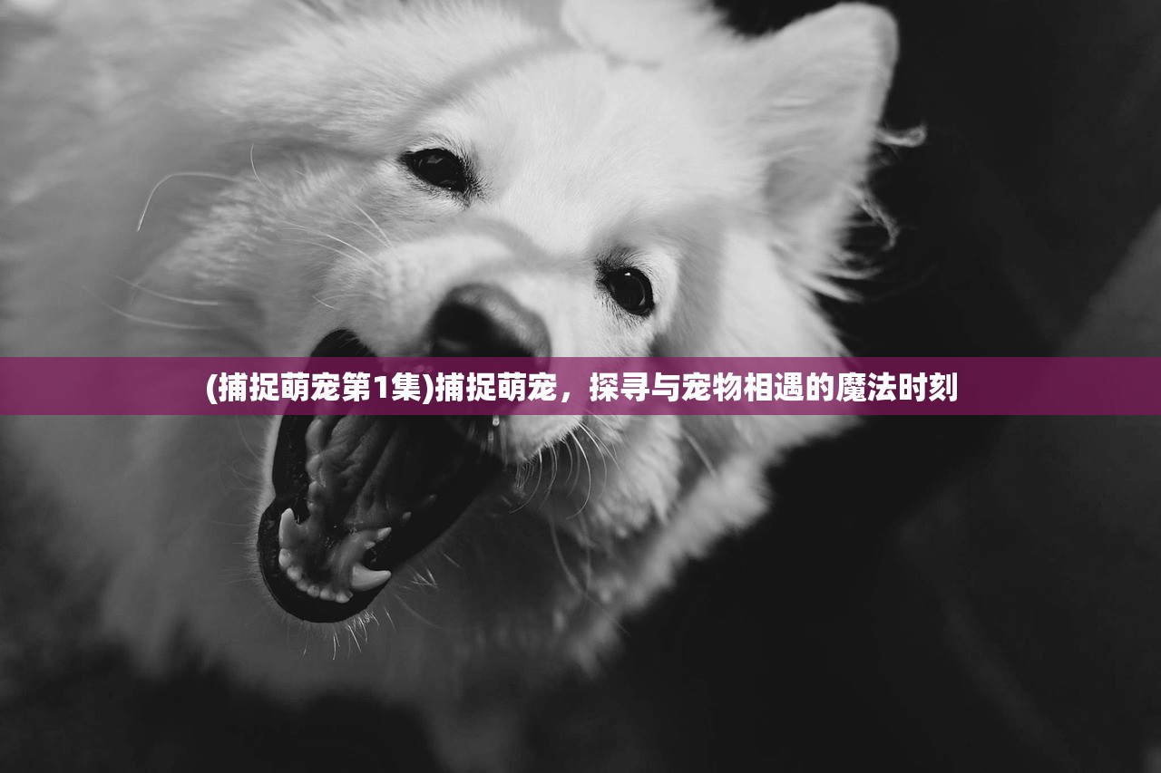 (4399百战沙城官网)4399百战沙城，策略与荣耀的交汇之地
