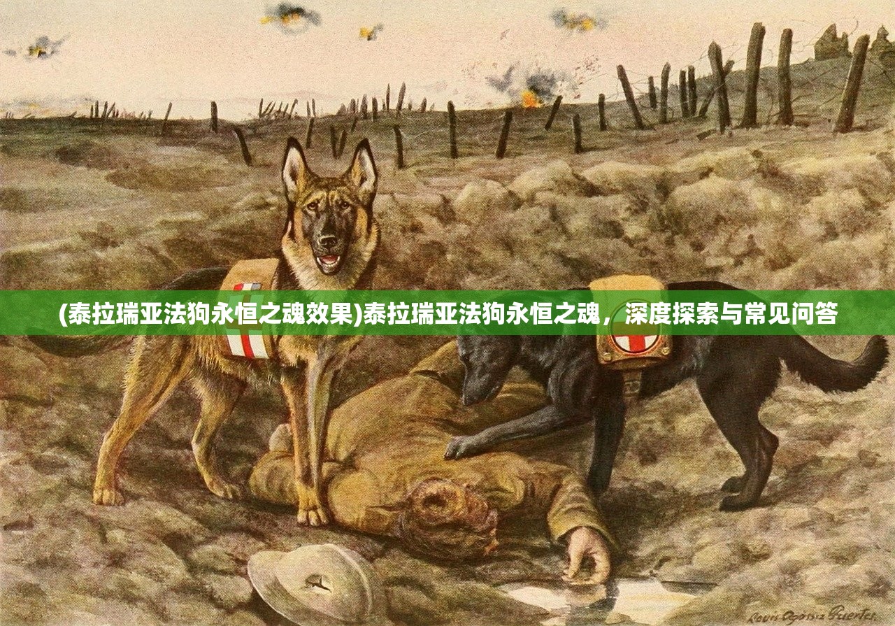 (重装机兵破解版无限金币能存档下载多多软件站)重装机兵破解版无限金币，游戏新体验的深度解析
