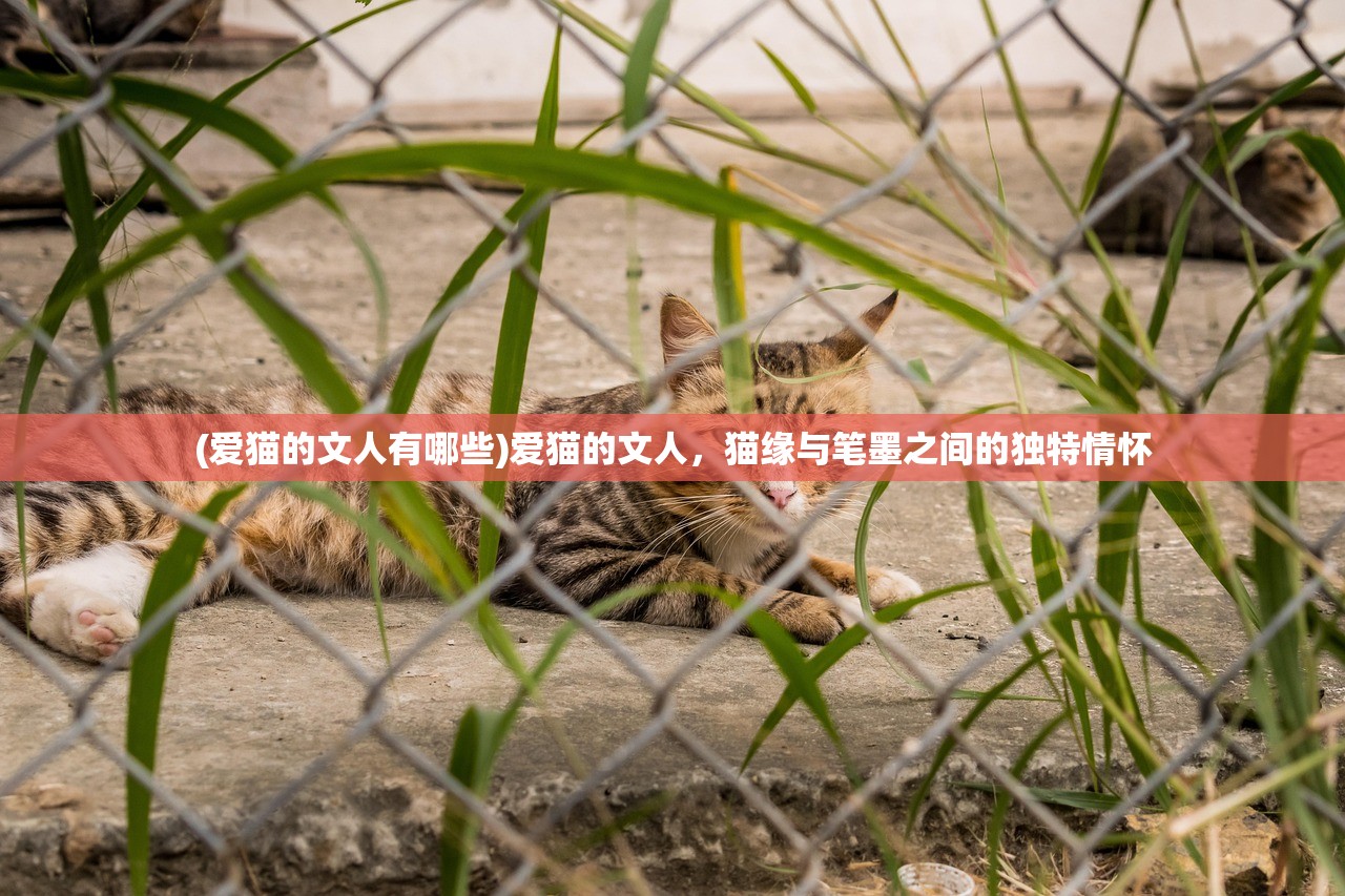 (修神外传仙界篇八一中文网)修神外传仙界篇深度解析与常见问题解答