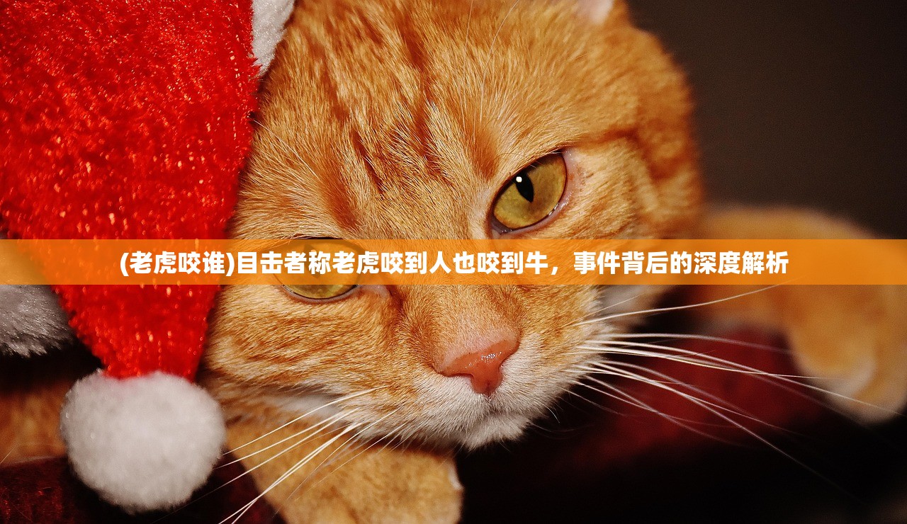 (好听的战盟名字)战盟名字，探索背后的故事与意义