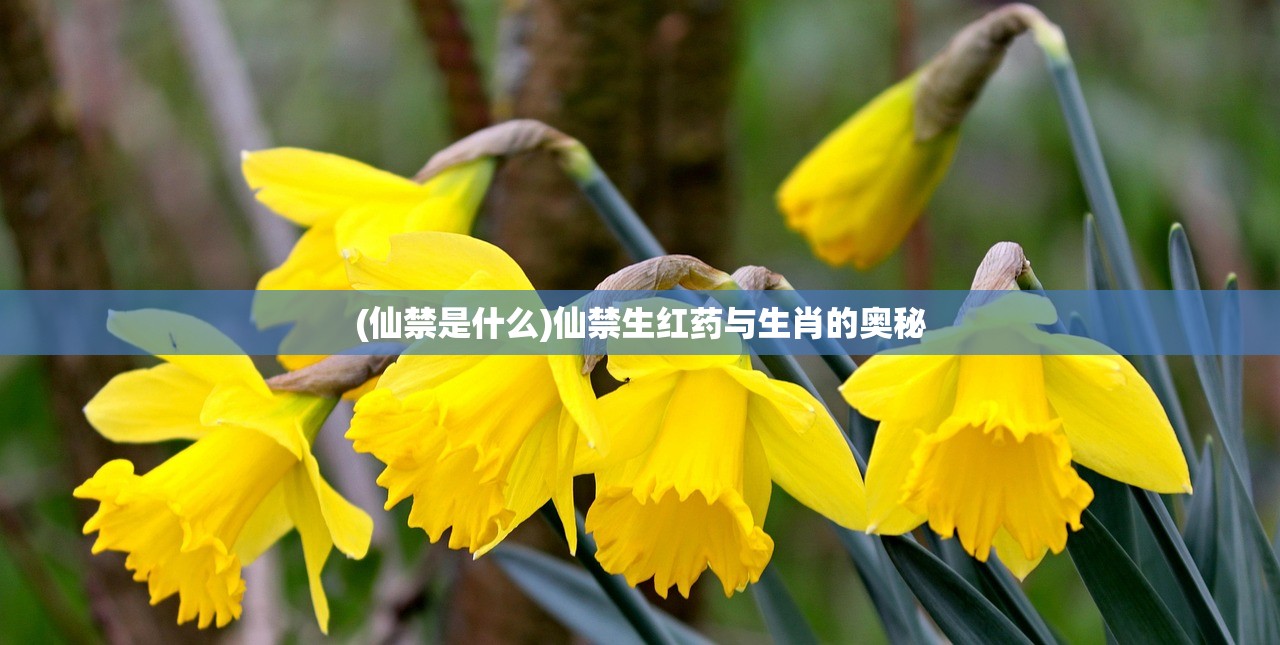 (仙落凡尘全关服了)仙落凡尘的新名字及其背后的故事