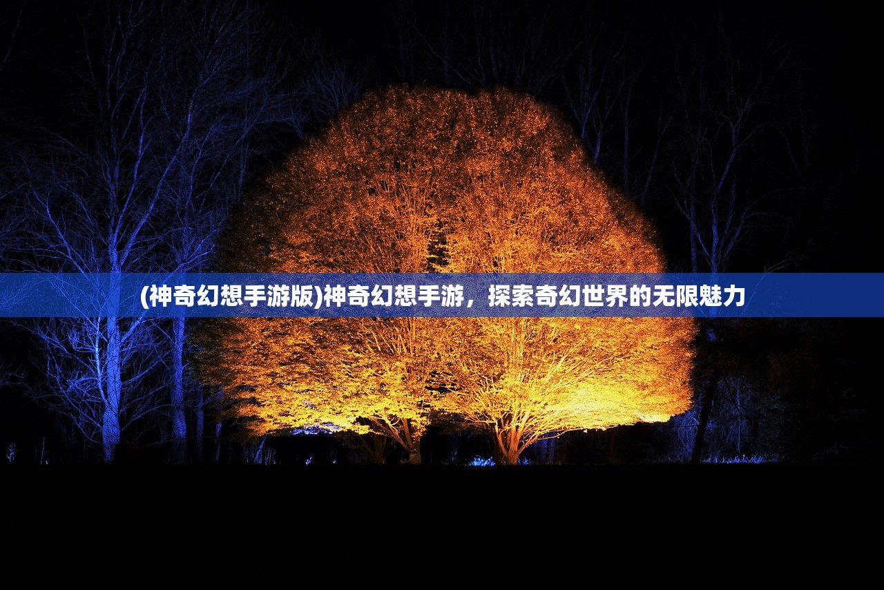 (战火与秩序脚本软件下载)战火与秩序，脚本的魅力与挑战