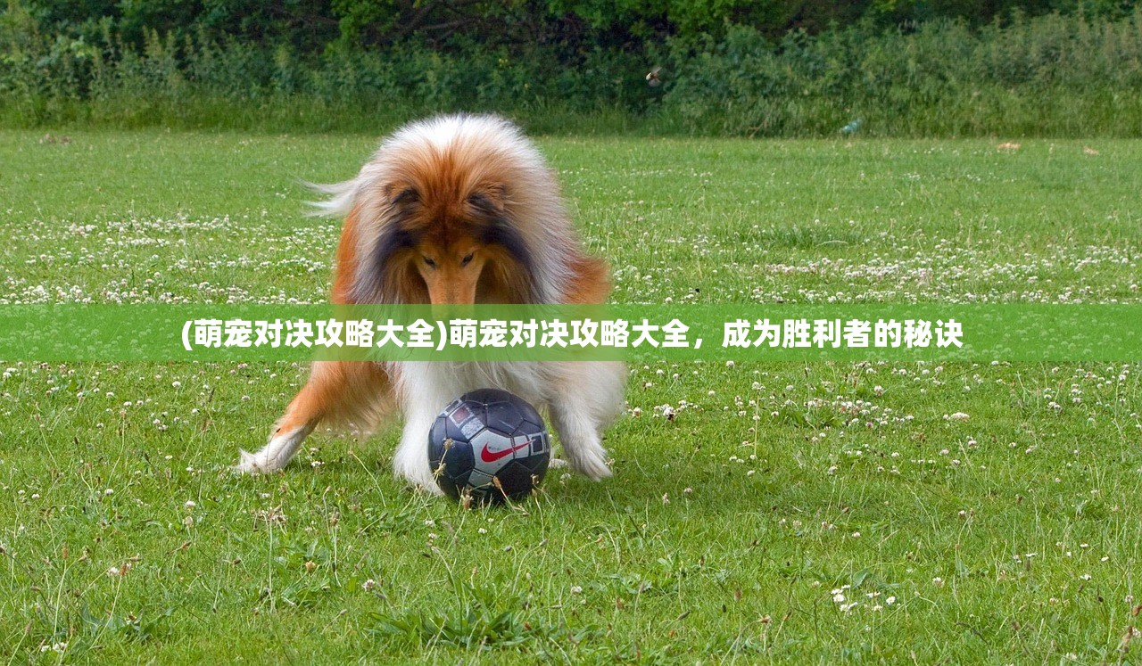 (萌宠对决攻略大全)萌宠对决攻略大全，成为胜利者的秘诀