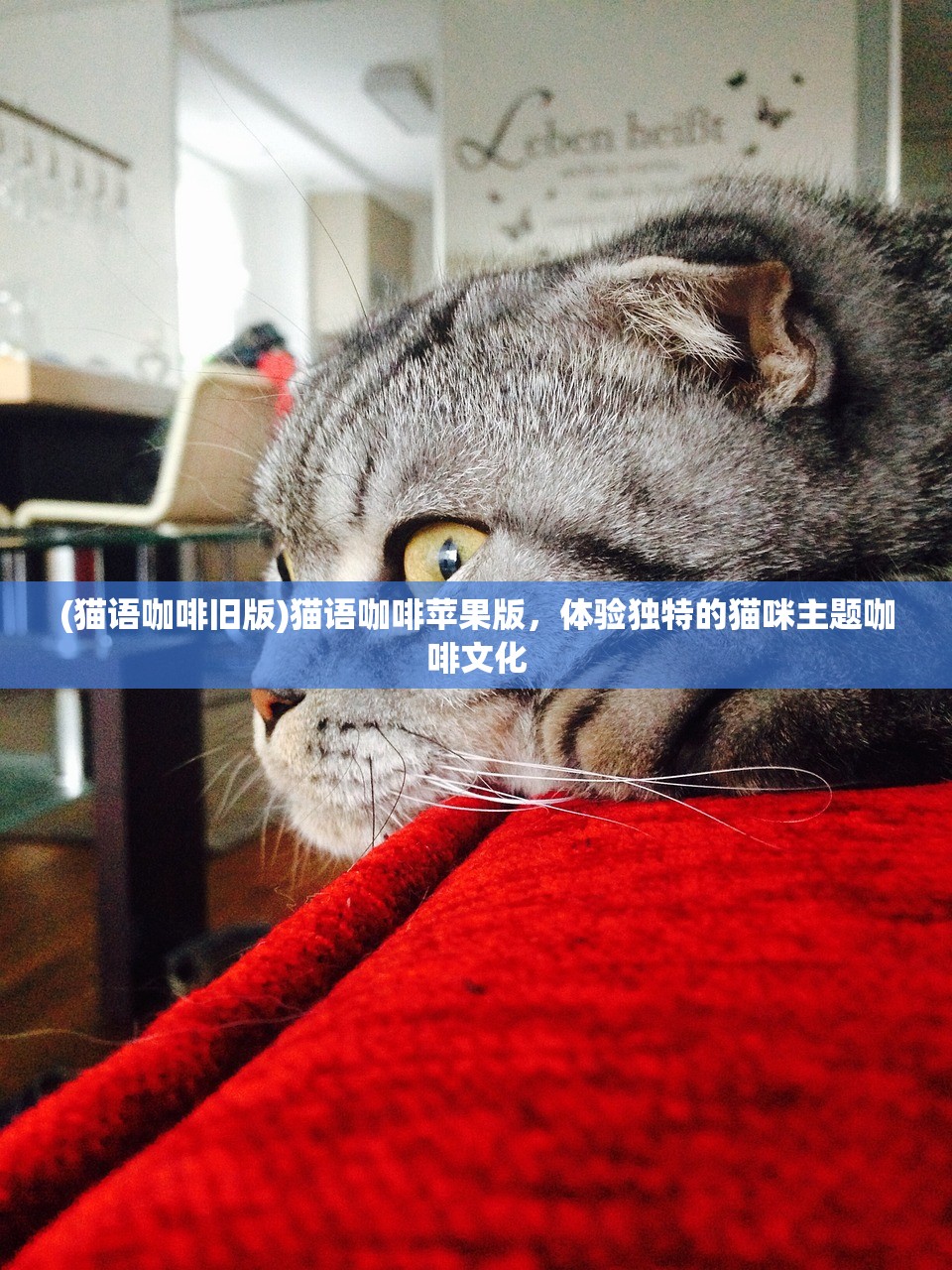(代号传奇百度百科)代号西游，揭秘背后的公司巨头