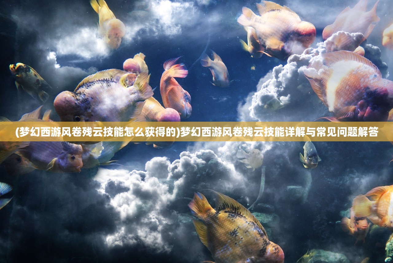 (梦幻西游风卷残云技能怎么获得的)梦幻西游风卷残云技能详解与常见问题解答