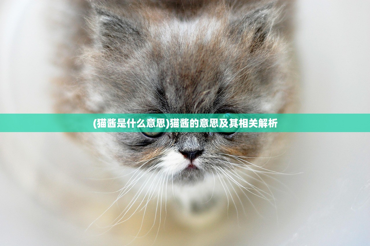 (猫酱是什么意思)猫酱的意思及其相关解析