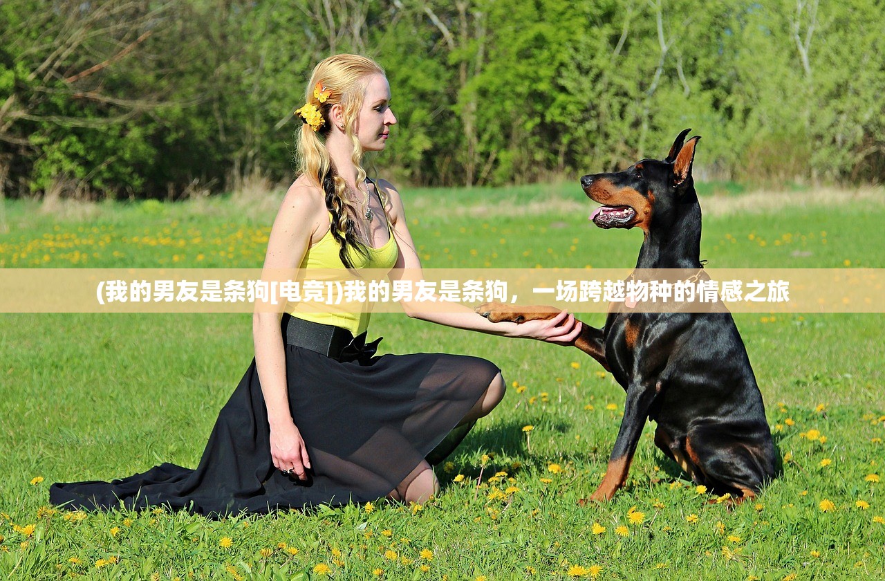 (超神小队破解版下载教程)超神小队修改器的深度解析与应用指南