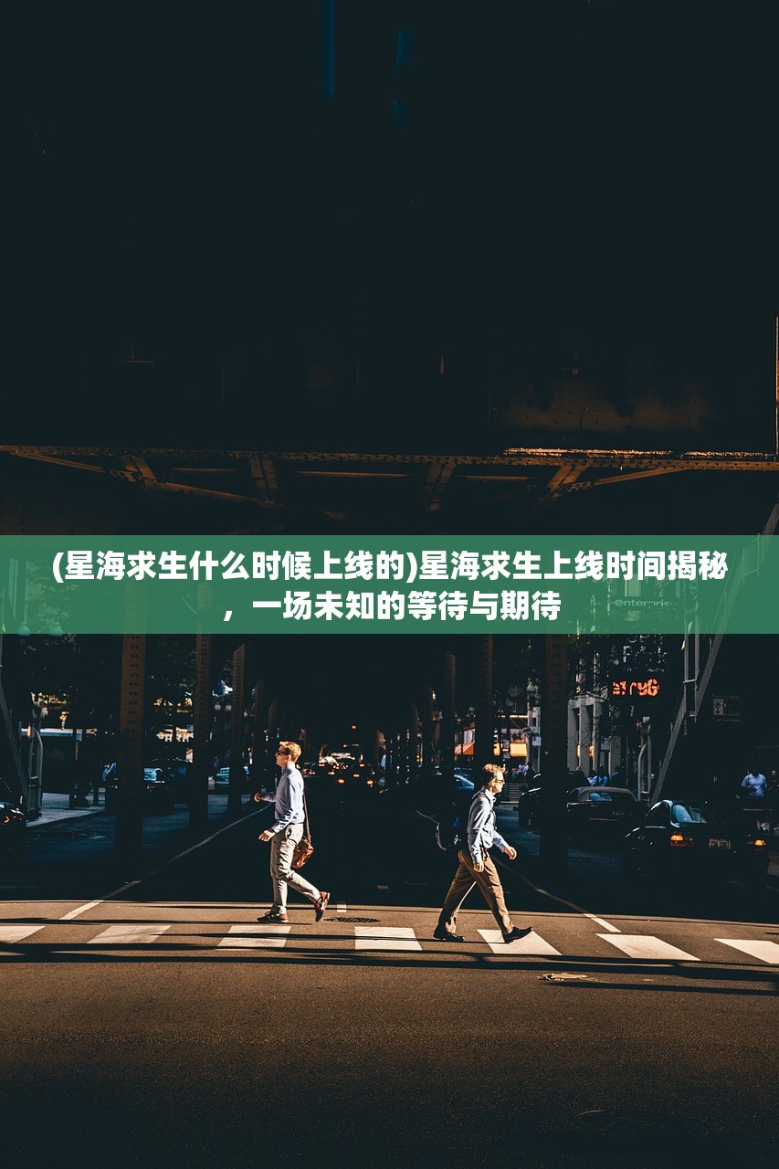 (星海求生什么时候上线的)星海求生上线时间揭秘，一场未知的等待与期待