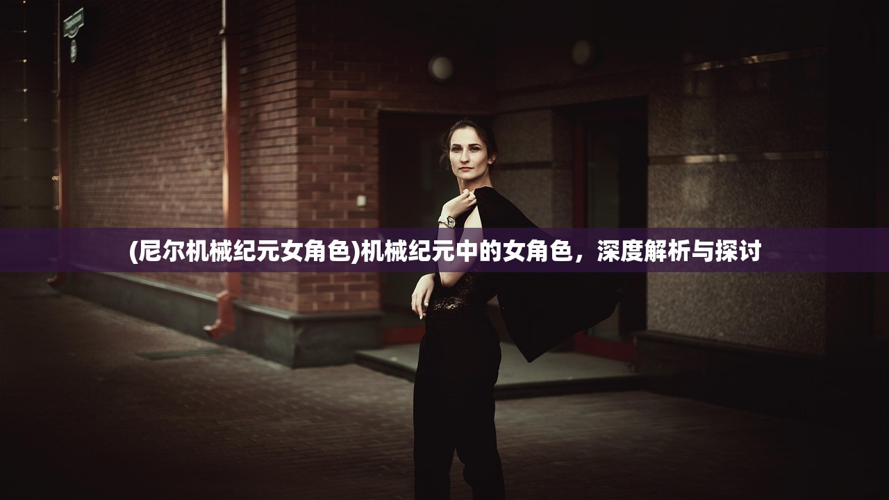 (尼尔机械纪元女角色)机械纪元中的女角色，深度解析与探讨