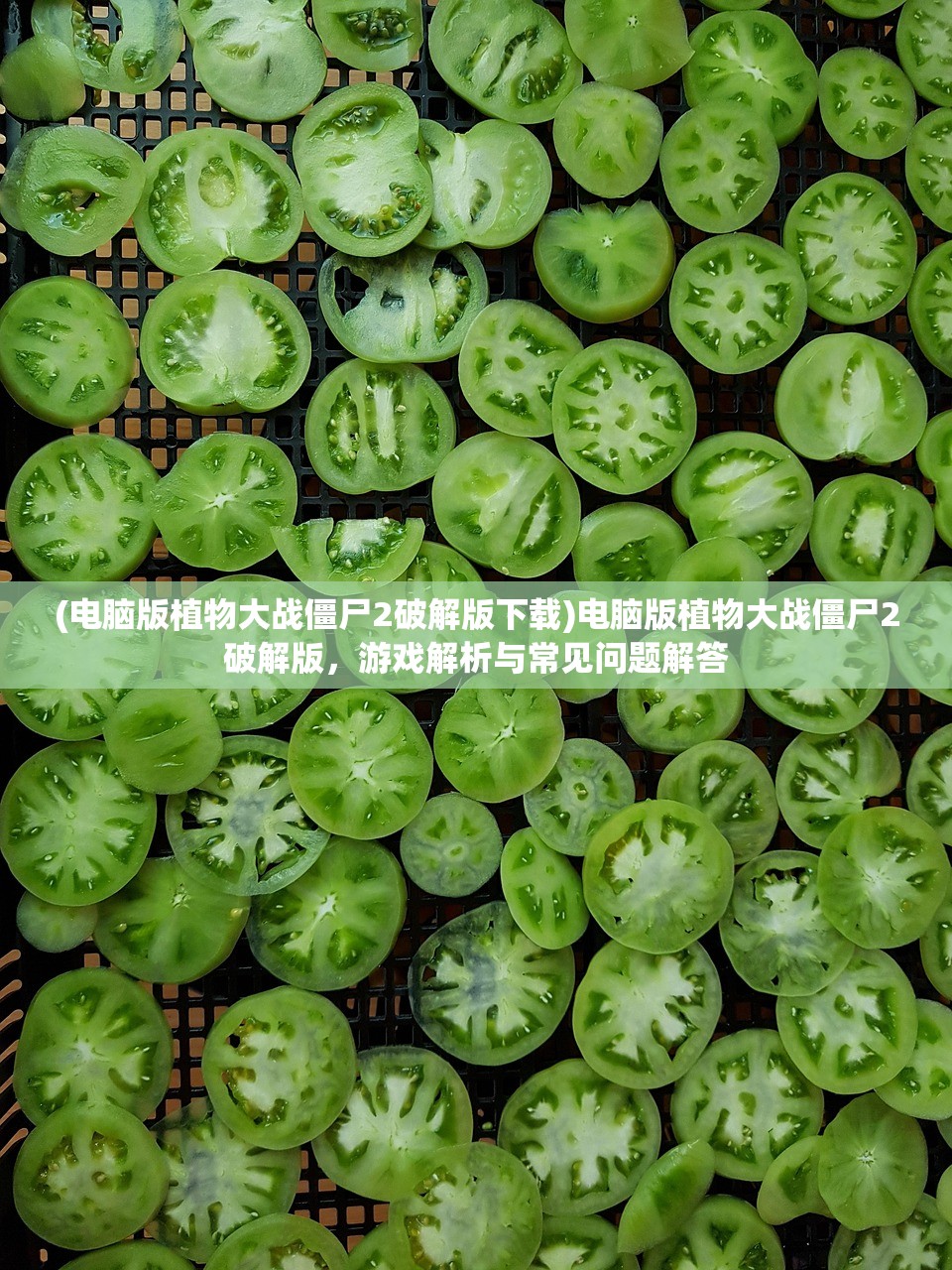 (电脑版植物大战僵尸2破解版下载)电脑版植物大战僵尸2破解版，游戏解析与常见问题解答
