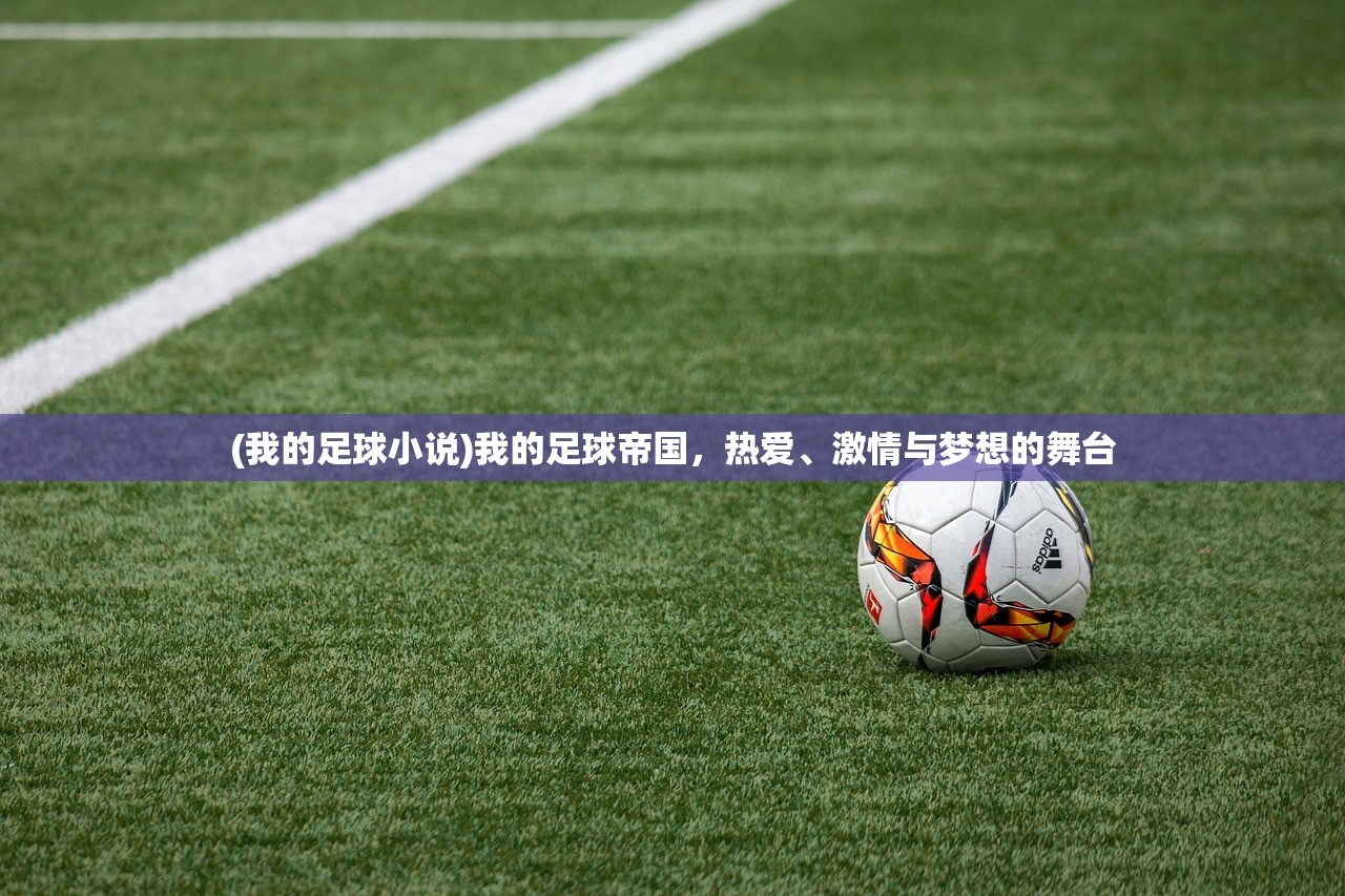 (我的足球小说)我的足球帝国，热爱、激情与梦想的舞台