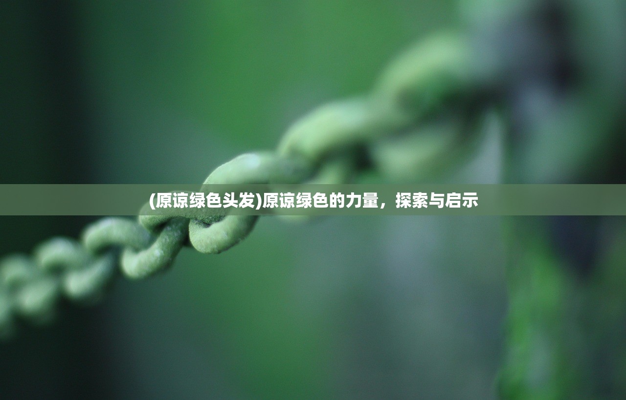 (原谅绿色头发)原谅绿色的力量，探索与启示