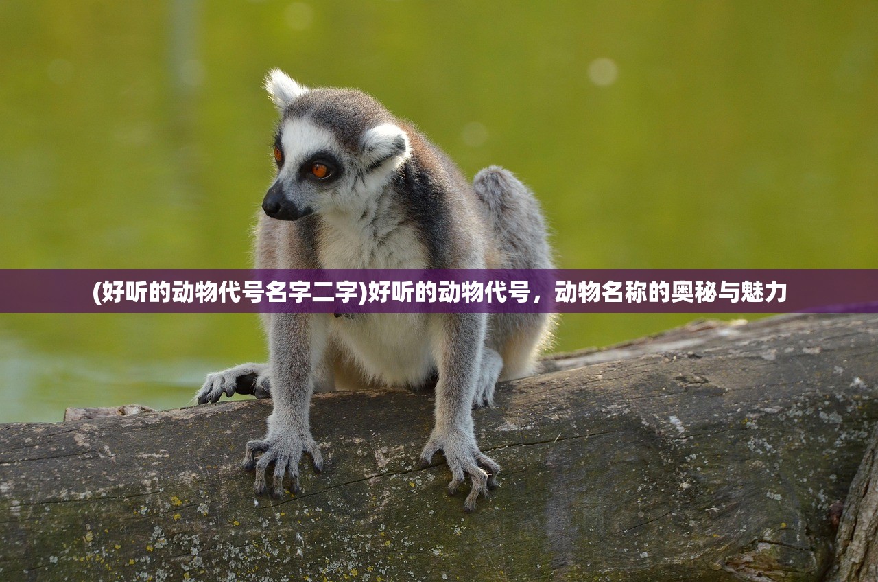 (踏马江湖什么时候公测的啊)踏马江湖公测日期揭秘，期待与江湖的邂逅