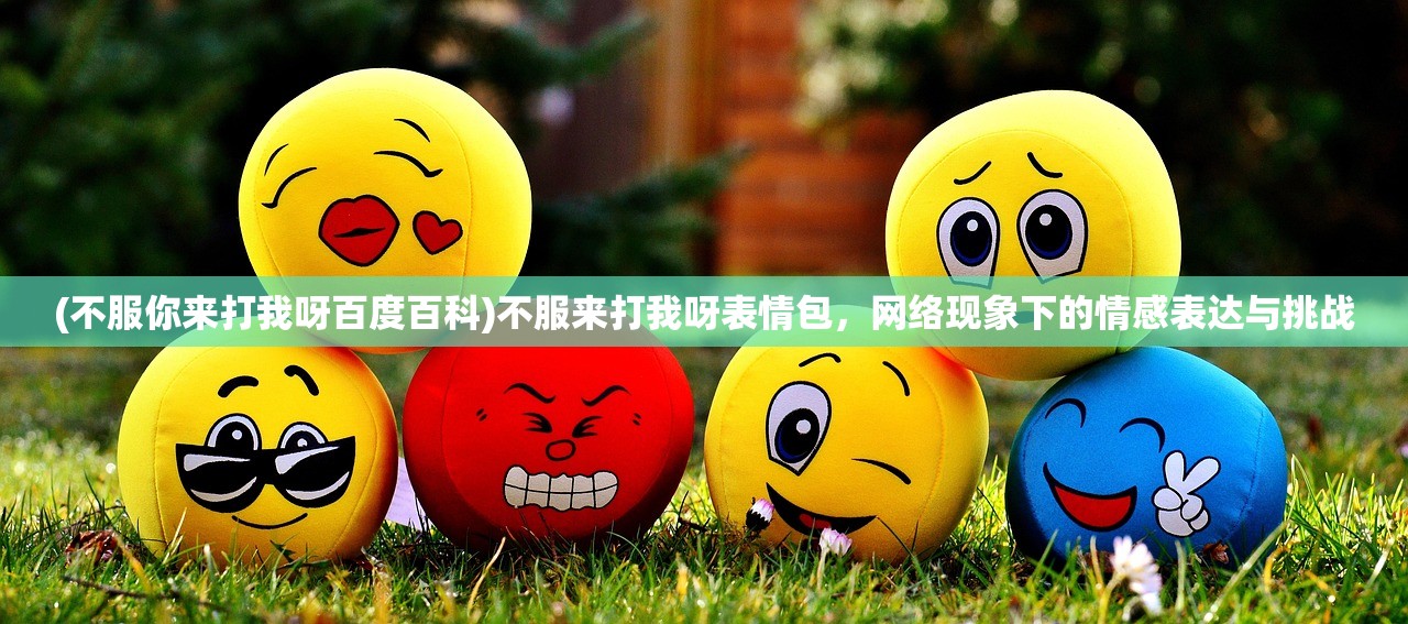 (不服你来打我呀百度百科)不服来打我呀表情包，网络现象下的情感表达与挑战