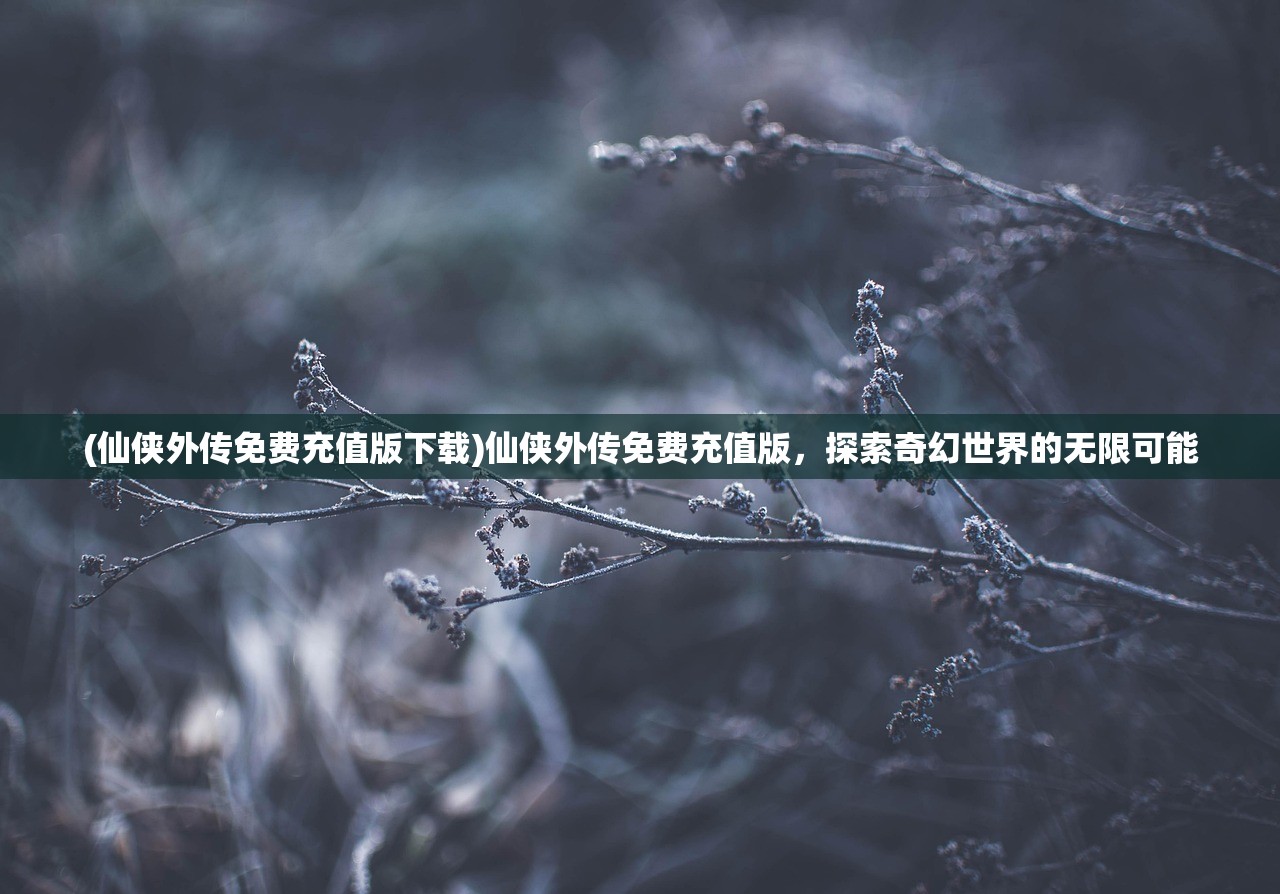(仙侠外传免费充值版下载)仙侠外传免费充值版，探索奇幻世界的无限可能