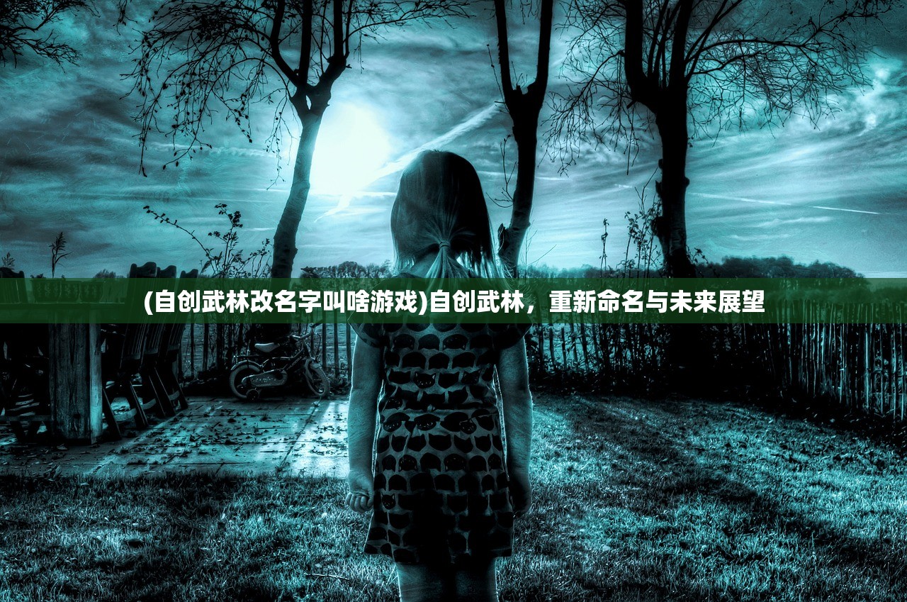 (自创武林改名字叫啥游戏)自创武林，重新命名与未来展望