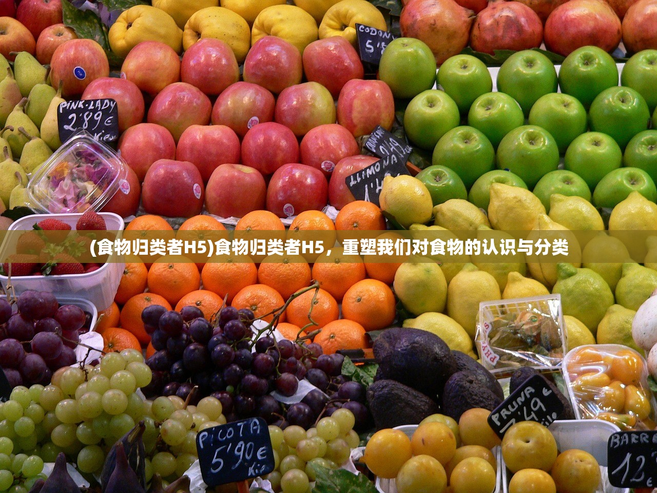 (食物归类者H5)食物归类者H5，重塑我们对食物的认识与分类