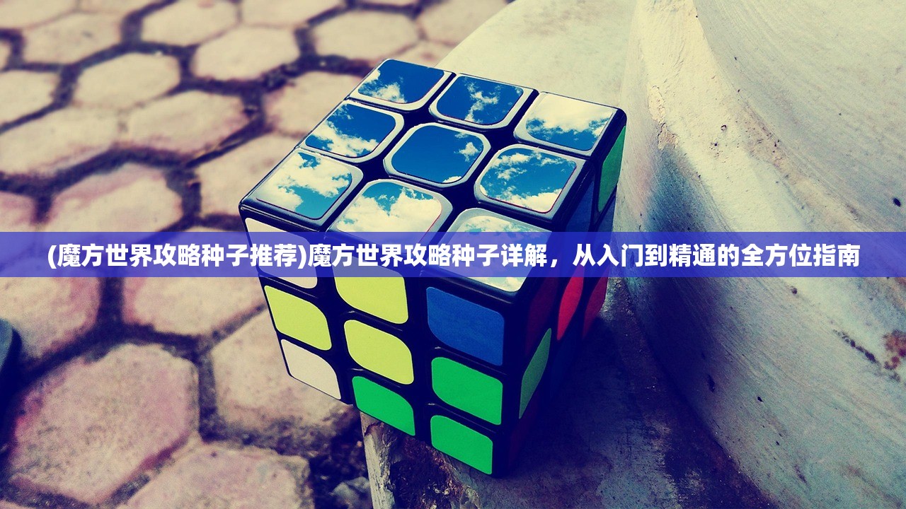 (魔方世界攻略种子推荐)魔方世界攻略种子详解，从入门到精通的全方位指南