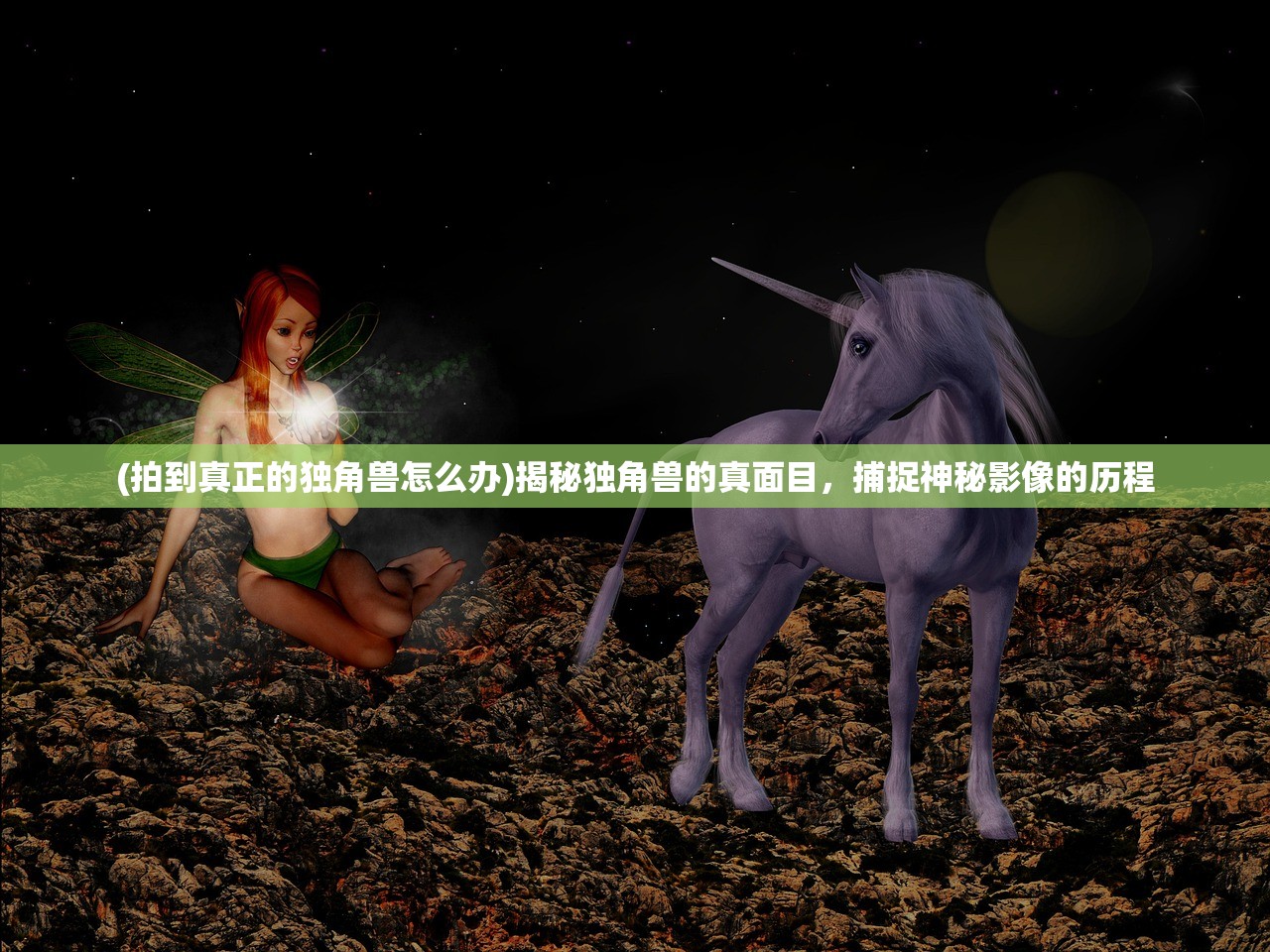 (拍到真正的独角兽怎么办)揭秘独角兽的真面目，捕捉神秘影像的历程