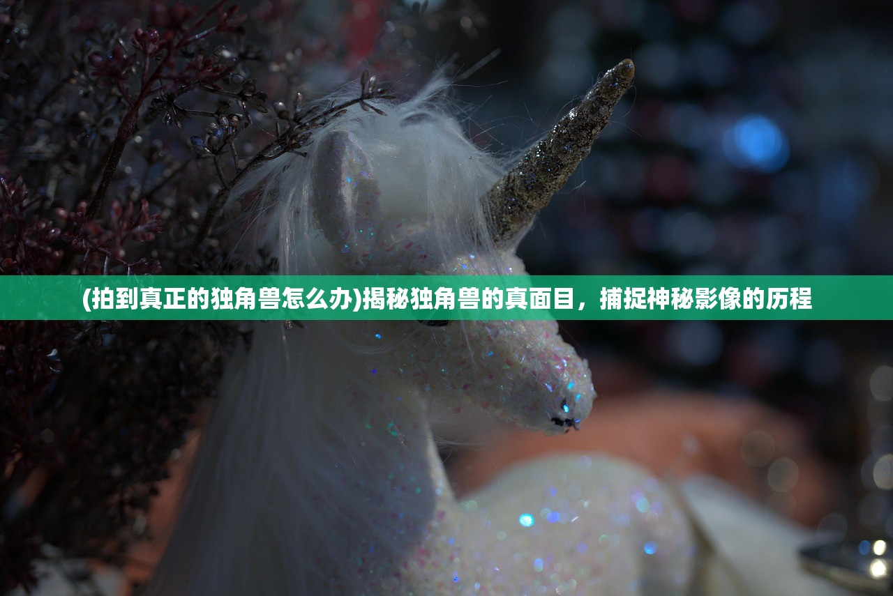 (拍到真正的独角兽怎么办)揭秘独角兽的真面目，捕捉神秘影像的历程