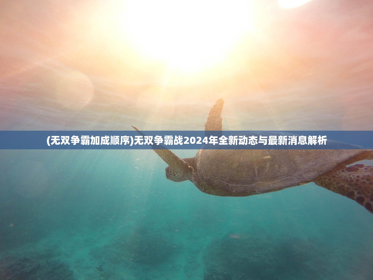 (无双争霸加成顺序)无双争霸战2024年全新动态与最新消息解析