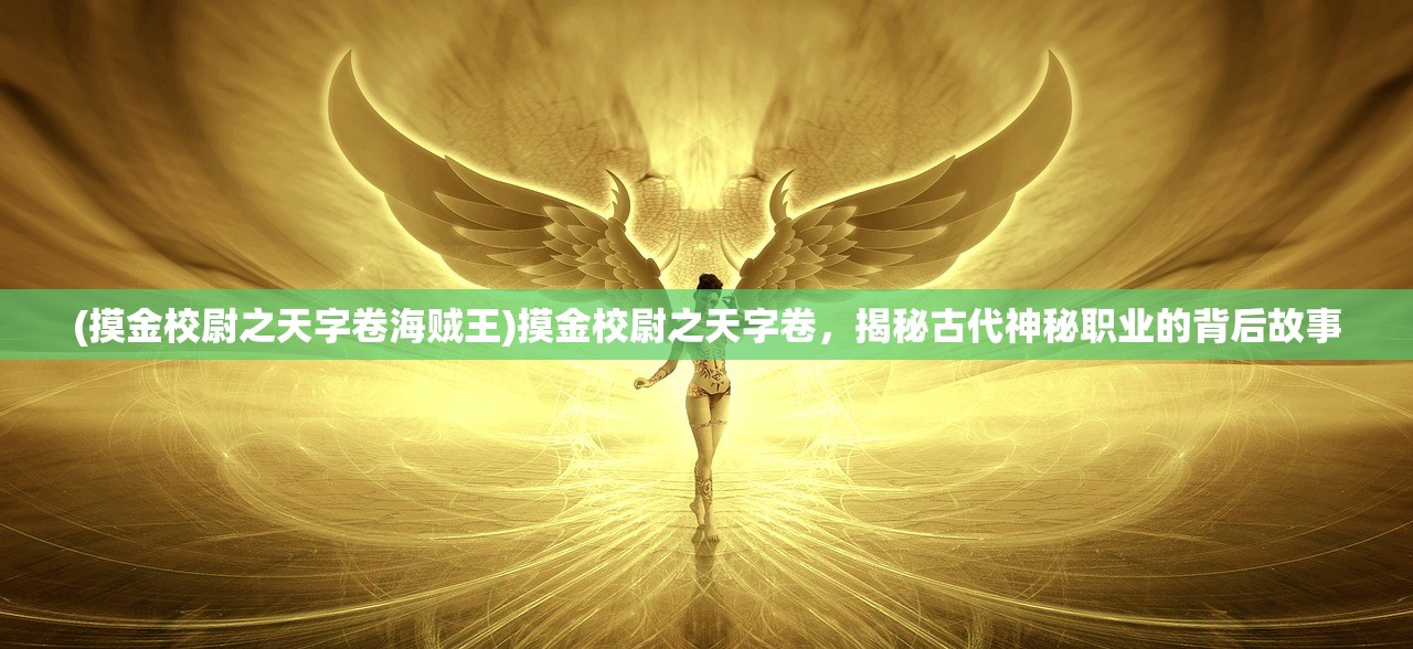 (摸金校尉之天字卷海贼王)摸金校尉之天字卷，揭秘古代神秘职业的背后故事