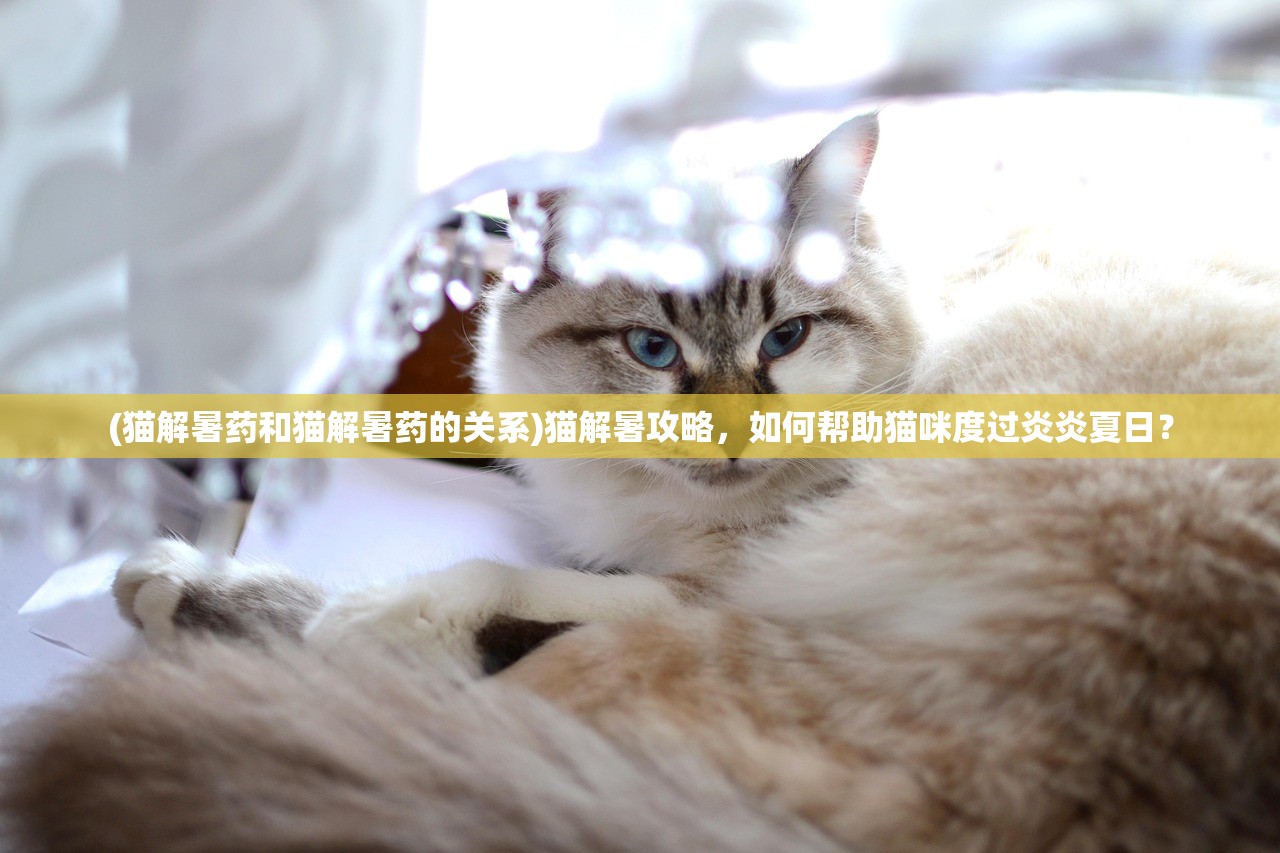 (猫解暑药和猫解暑药的关系)猫解暑攻略，如何帮助猫咪度过炎炎夏日？